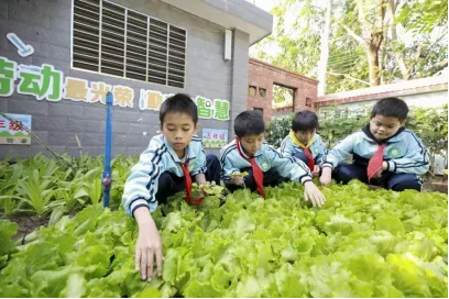 幼儿园特色课程