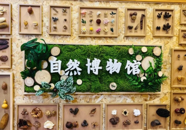 幼儿园自然博物馆环创：自然教育的新实践 · 配图