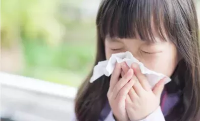 幼儿园特色教育