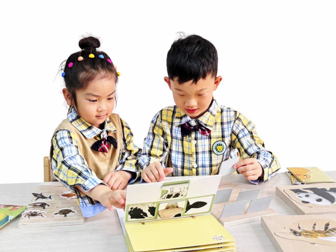 干货 | 你想要的幼儿园期末总结(小、中、大班 · 配图
